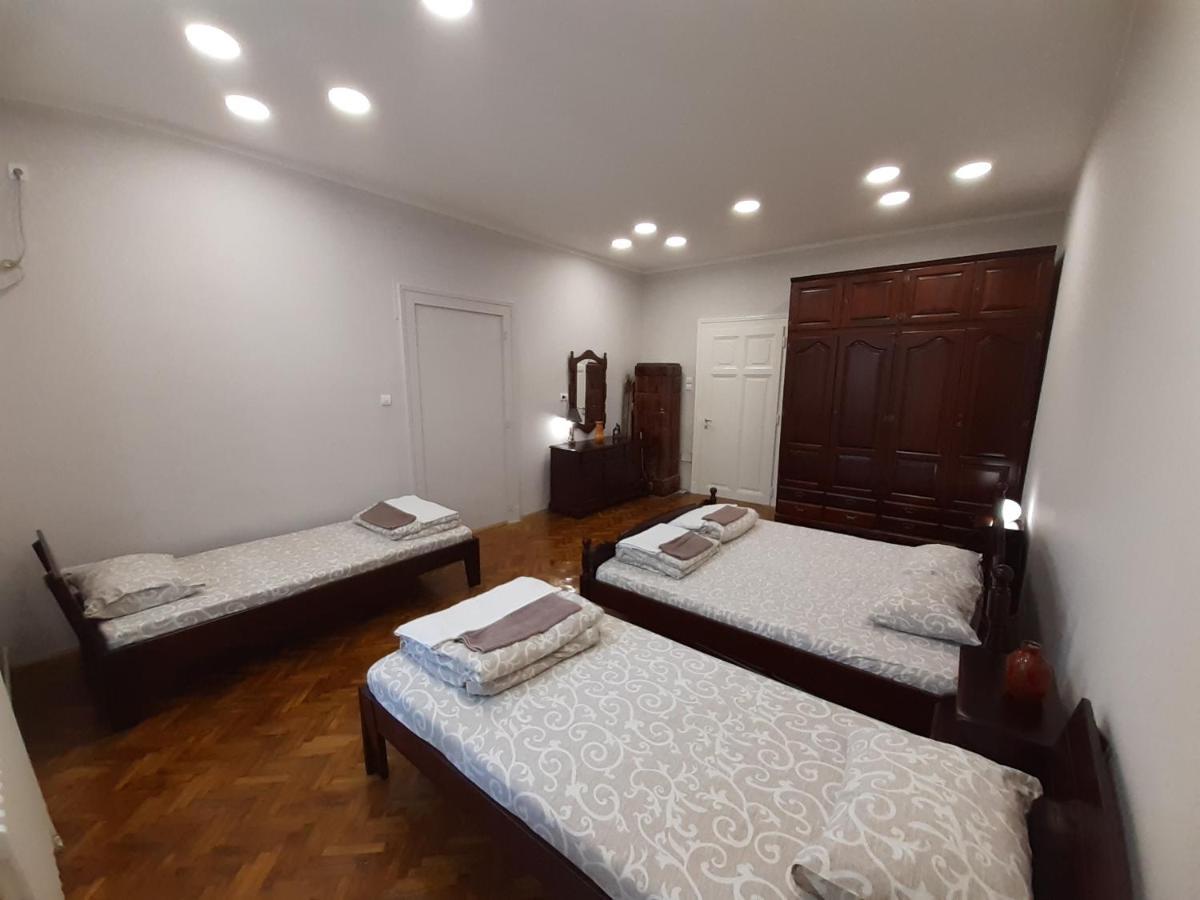 Downtown apartment in walk zone with 3 bedrooms&garage Novi Sad Buitenkant foto