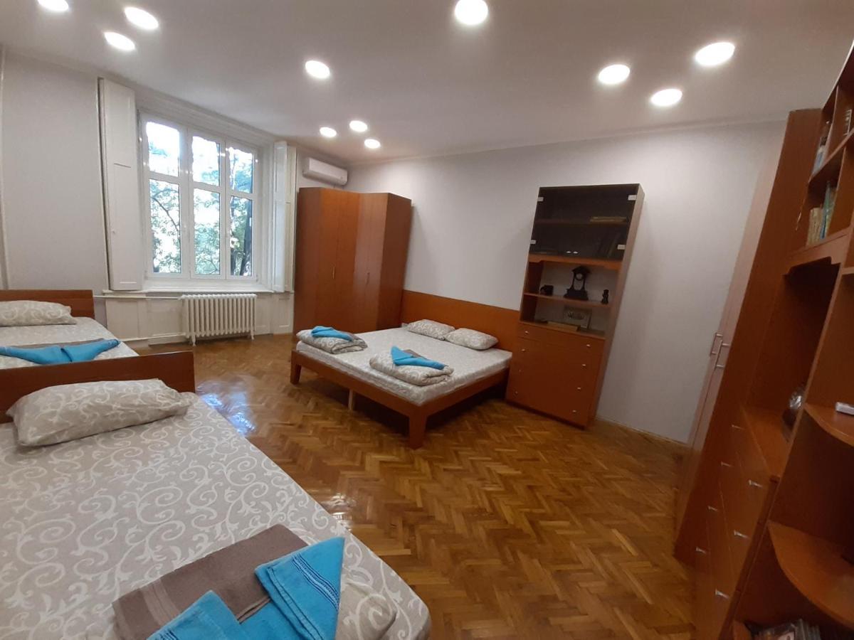 Downtown apartment in walk zone with 3 bedrooms&garage Novi Sad Buitenkant foto